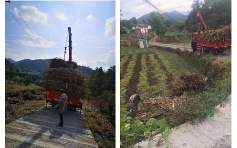 建始华牧：“抢”收秸秆忙